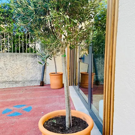 Apartment Grande Terrasse Emplacement Au A 1 Minute De La A Pieds Cassis